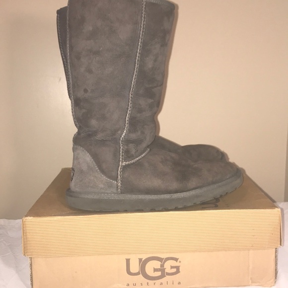 Authentic Gray Tall Uggs - Picture 3 of 8